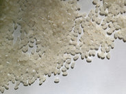 Luna Koshihikari Organic Rice - 5lbs