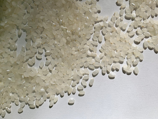 Luna Koshihikari Organic Rice - 5lbs