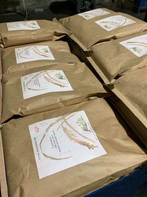 Luna Koshihikari Organic Rice - 5lbs