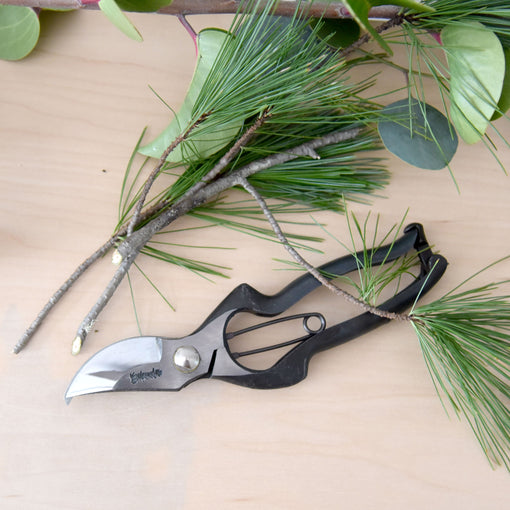 Pruning Shears