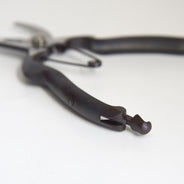 Pruning Shears