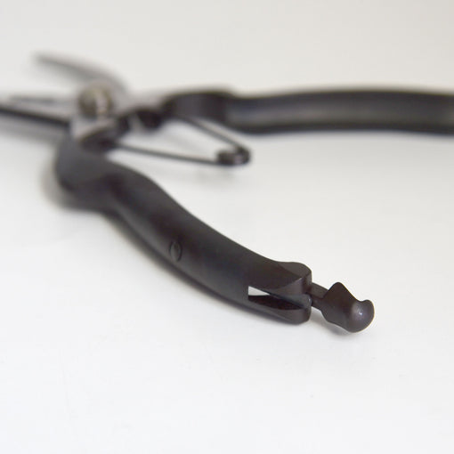 Pruning Shears